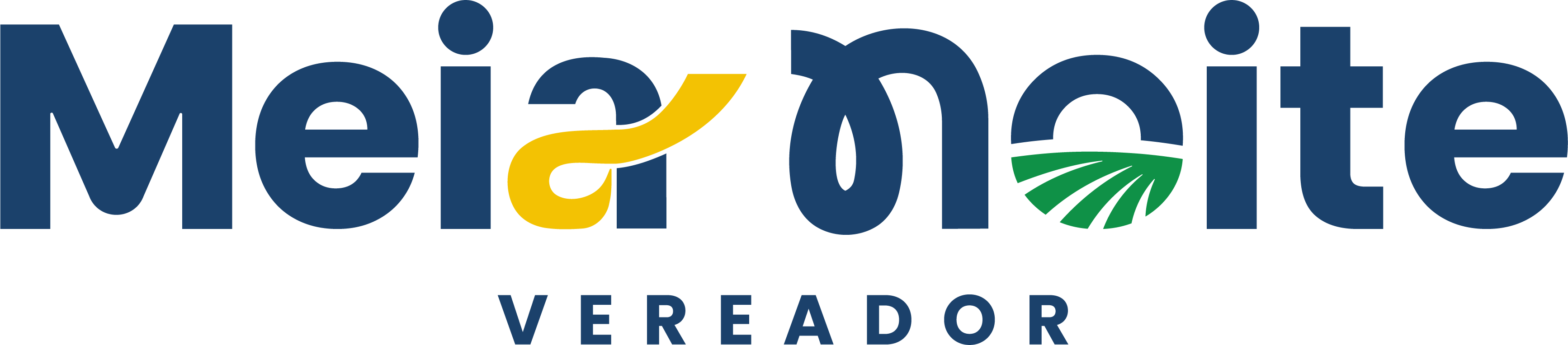 VEREADOR ERINALDO MEIA NOITE 